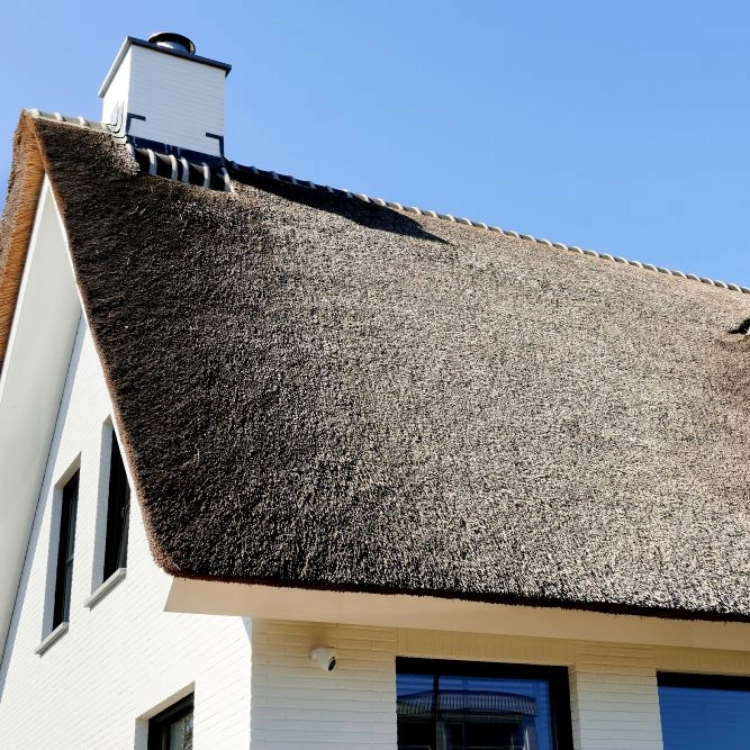 riet-heinenoord